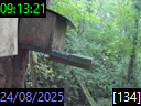09:13:21