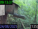 09:13:37