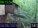 09:15:54