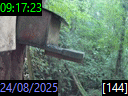 09:17:23
