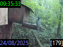 09:35:33