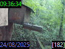 09:36:34