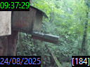 09:37:29