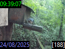 09:39:07