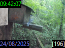 09:42:07