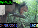 09:46:00