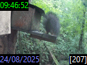 09:46:52