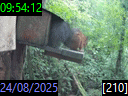 09:54:12