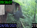09:56:07