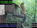 10:00:39