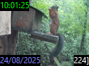 10:01:25