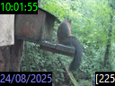 10:01:55