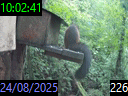 10:02:41