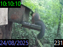 10:10:10
