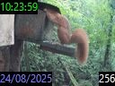 10:23:59