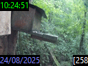 10:24:51