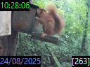 10:28:06