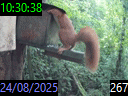 10:30:38