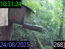 10:31:24