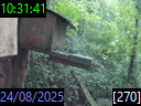 10:31:41