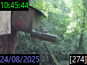 10:45:44