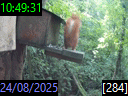 10:49:31
