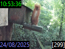 10:53:36