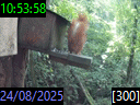 10:53:58