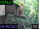 10:54:21