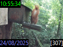 10:55:34