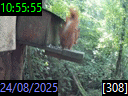 10:55:55
