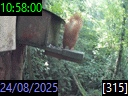 10:58:00