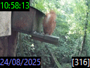 10:58:13