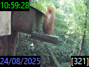 10:59:28