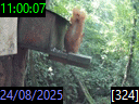 11:00:07