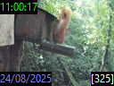 11:00:17