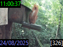11:00:37