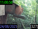 11:00:58