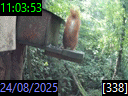 11:03:53