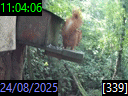 11:04:06