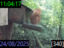 11:04:17