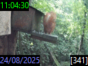 11:04:30