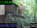 11:04:48