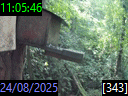 11:05:46