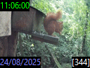 11:06:00