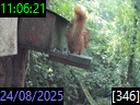 11:06:21