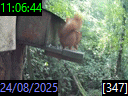 11:06:44