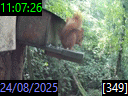 11:07:26