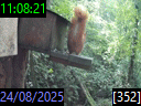 11:08:21