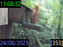 11:08:32